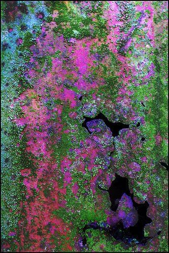 ede64fe1581c650057f9e35591828b36